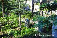 Jardines del Cementerio de Trafalgar 
